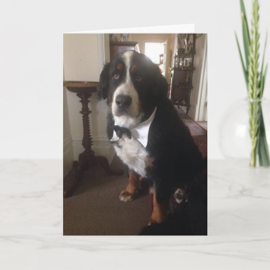 Bernerの国家の挨拶状 シーズンカード (正面)