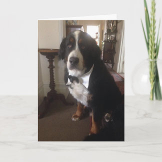 Bernerの国家の挨拶状 シーズンカード