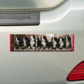 Bernerの子犬のバンパー。 バンパーステッカー (車上)