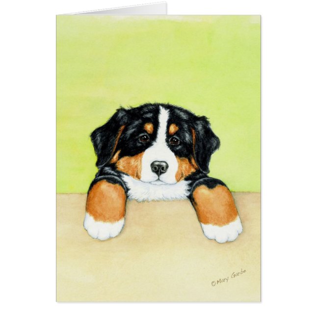 Bernerの子犬 (正面)