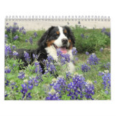 Berner年 カレンダー (カバー)