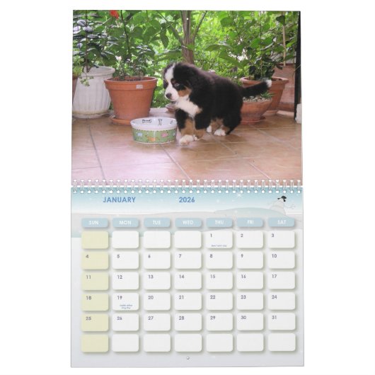 Berner年 カレンダー (1月 2026)