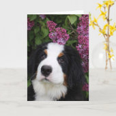 Berner Nationグリーティングカー空白のド() カード (黄色い花)