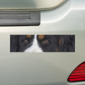 Berner Sennenhundのバンパーステッカー バンパーステッカー (車上)