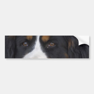 Berner Sennenhundのバンパーステッカー バンパーステッカー
