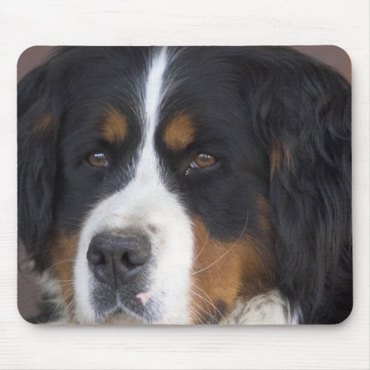 Berner Sennenhundのマウスパッド マウスパッド (正面)