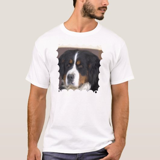 Berner Sennenhundの男性Tシャツ Tシャツ (正面)