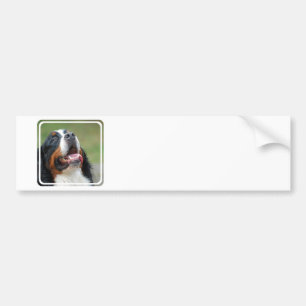 Berner Sennenhund犬のバンパーステッカー バンパーステッカー