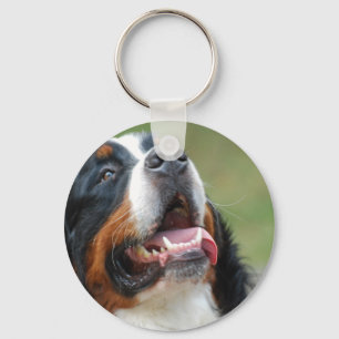 Berner Sennenhund犬Keychain キーホルダー