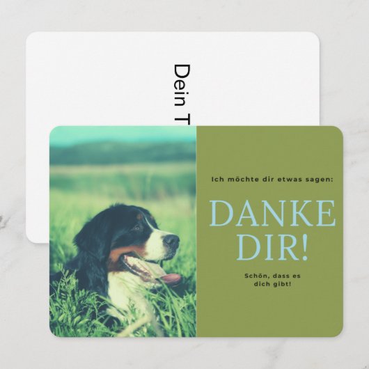 Berner Sennenhund サンキューカード (正面/裏面)