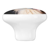 Berner Sennenhund セラミックノブ (側面)