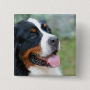 Berneseかわいいボタン 缶バッジ