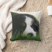Berneseの子犬の枕 クッション (ブランケット)