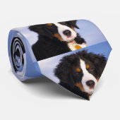 bernese山犬錆の子犬 ネクタイ (ロール)