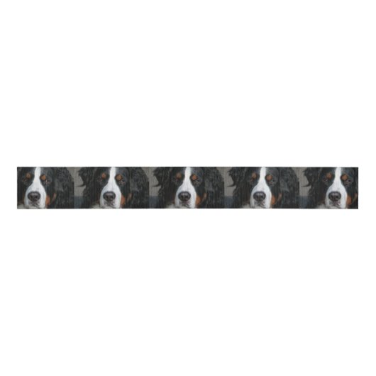 bernese山dog.png グログランリボン (正面)