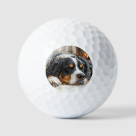 Bernese Mountain Dog ゴルフボール