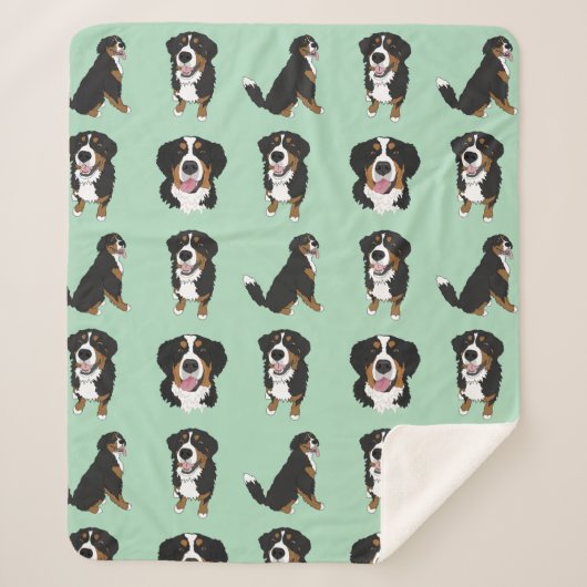 Bernese Mountain Dog  シェルパブランケット (正面)
