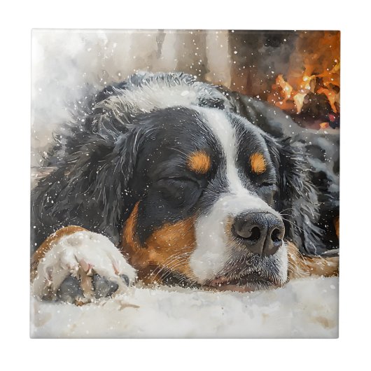 Bernese Mountain Dog タイル (正面)