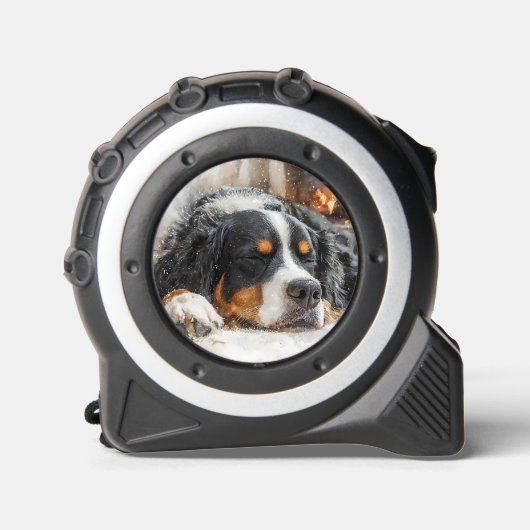 Bernese Mountain Dog メジャー (正面)
