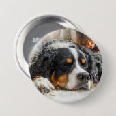 Bernese Mountain Dog 缶バッジ (正面&裏面)