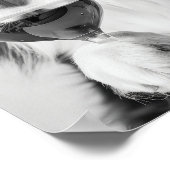 Bernese Mountain Dog and Wine Wall Art, Black and  ポスター (角)