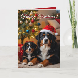 Bernese Mountain Dog Christmas  カード