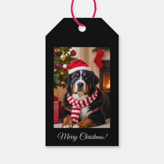 Bernese Mountain Dog Christmas  ギフトタグ (正面)
