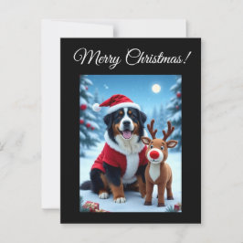 Bernese Mountain Dog Christmas  ポストカード