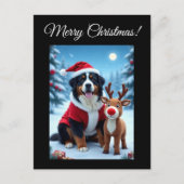 Bernese Mountain Dog Christmas  ポストカード (正面)