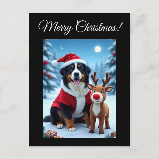 Bernese Mountain Dog Christmas  ポストカード (正面)