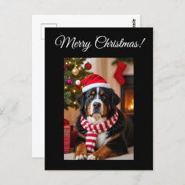 Bernese Mountain Dog Christmas  ポストカード