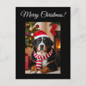 Bernese Mountain Dog Christmas  ポストカード (正面)