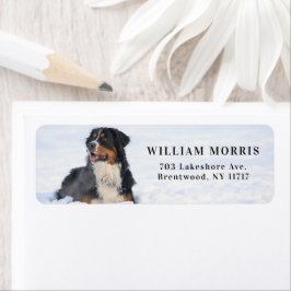 Bernese Mountain Dog in Snow Return Address ラベル