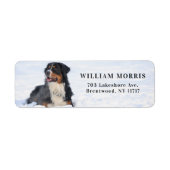 Bernese Mountain Dog in Snow Return Address ラベル (正面)
