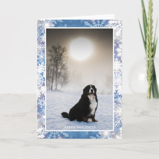 Bernese Mountain Dog In Snow Winter View写真 シーズンカード (正面)