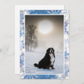 Bernese Mountain Dog In Snow Winter View写真 シーズンカード (正面/裏面)