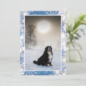 Bernese Mountain Dog In Snow Winter View写真 シーズンカード (スタンド正面)