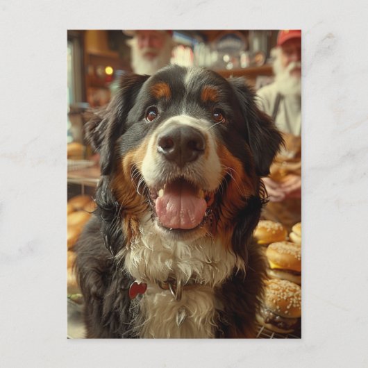 Bernese Mountain Dog in the Cheeseburger Shop ポストカード (正面)