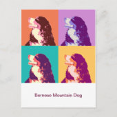 Bernese Mountain Dog Pop Art ポストカード (正面)