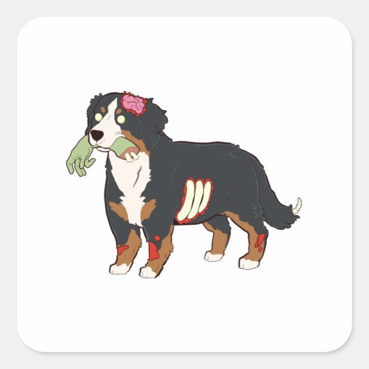 Bernese Mountain Dog Zombie Halloween スクエアシール (正面)