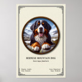 Bernese Mountain Dog Zoology Series ポスター (正面)