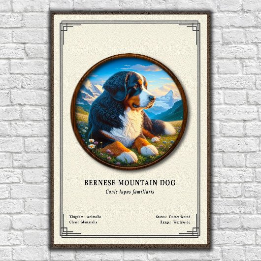 Bernese Mountain Dog Zoology Series ポスター