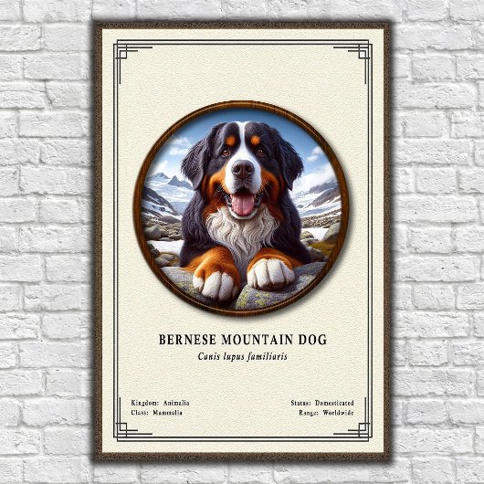 Bernese Mountain Dog Zoology Series ポスター