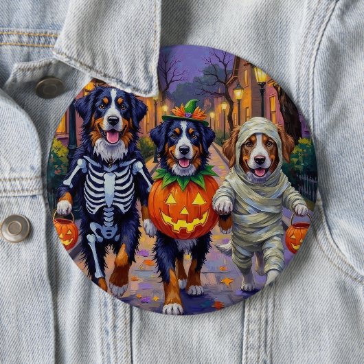 Bernese Mountain Trick-or-Treating In Halloween  缶バッジ (インサイチュ)