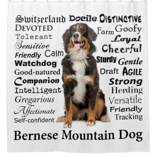 Bernese Mt.犬の特性のシャワー・カーテン シャワーカーテン (正面)