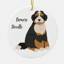 Bernese Poodle Mix, Bernedodle Christmas Orantives