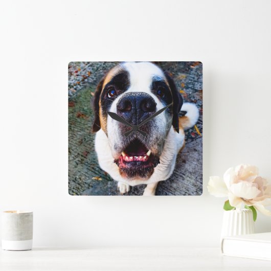 Bernhadiner スクエア壁時計 (ホーム)