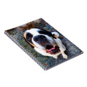 Bernhadiner ノートブック (右側)