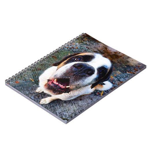 Bernhadiner  ノートブック (左側)