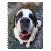 Bernhadiner  ノートブック (正面)